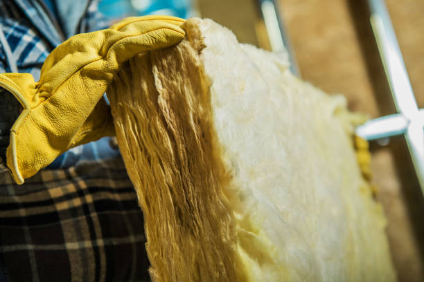 Best Eco-Friendly Insulation in Luxemburg, WI