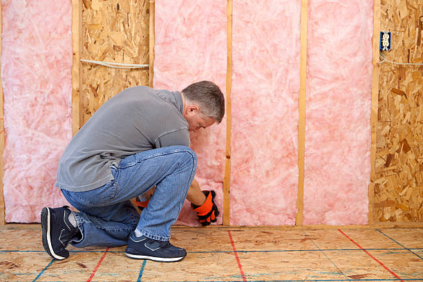 Best Fiberglass Insulation in Luxemburg, WI